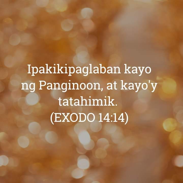 Exodo 14:14, Exodo 14:14