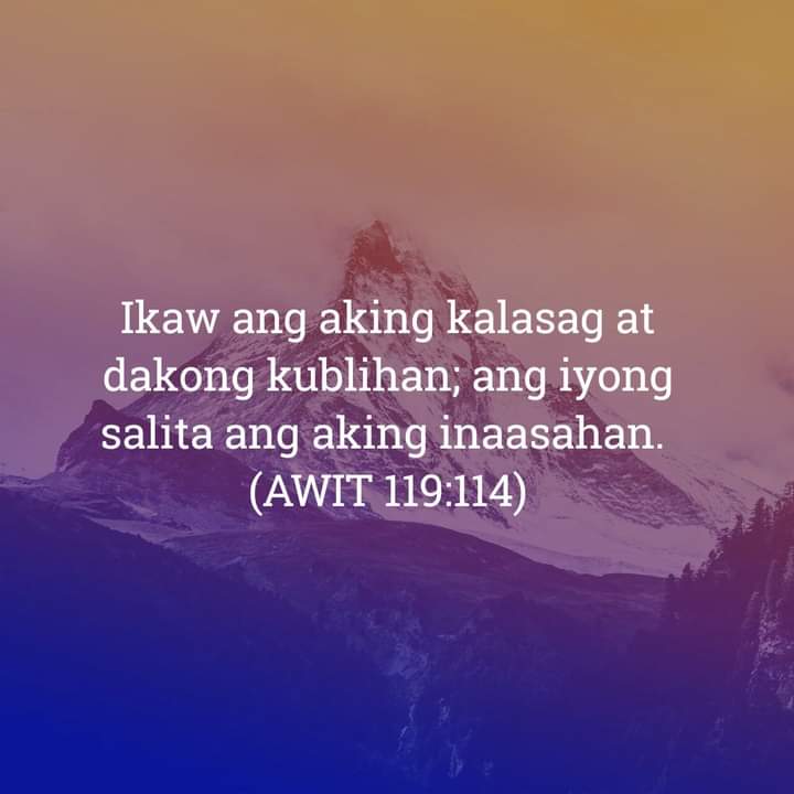 Awit 119:114, Awit 119:114
