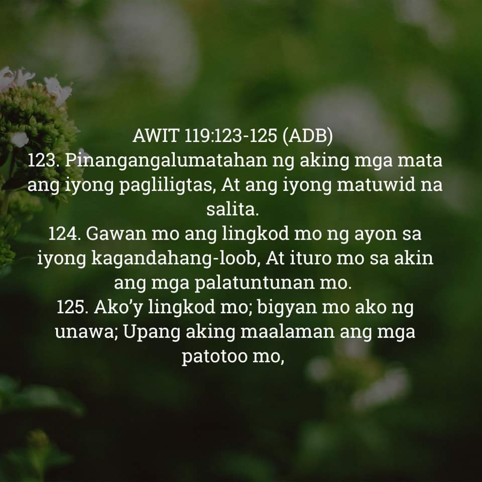 AWIT 119:123-125, AWIT 119:123-125